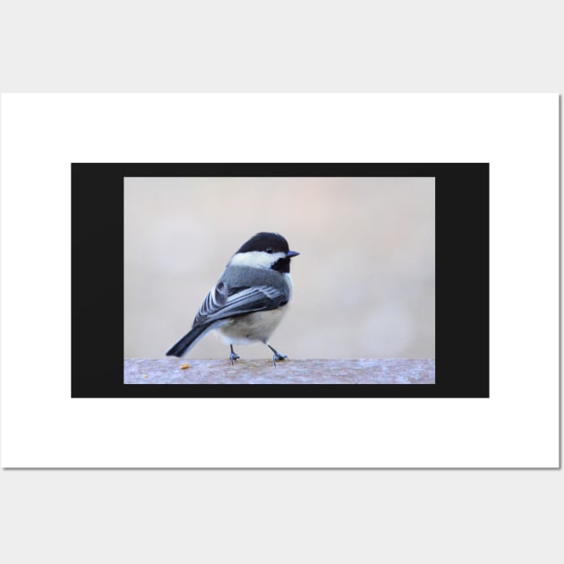 Chickadee Wall Art by LaurieMinor